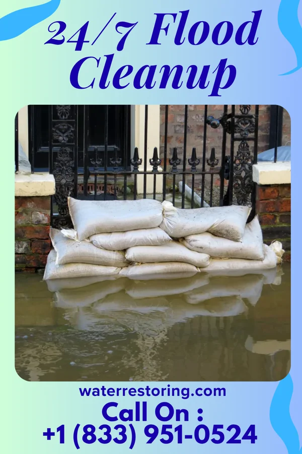 24/7 Flood Cleanup in Slocomb, AL