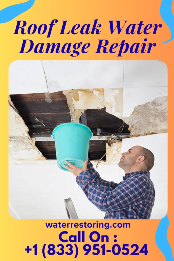 Roof Leak Water Damage Repair in Slocomb, AL