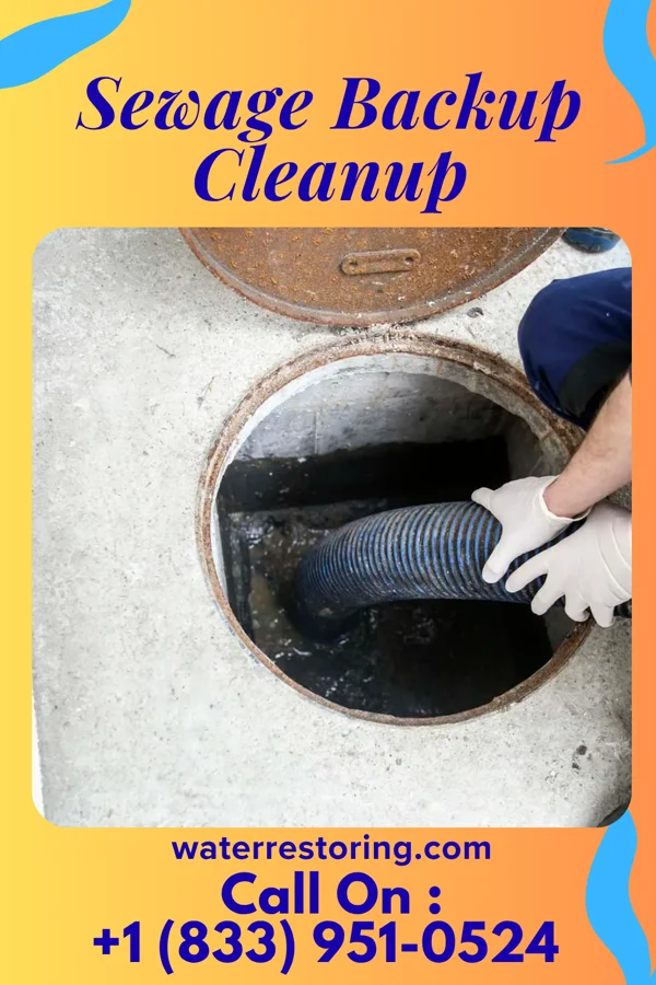 Sewage Backup Cleanup in Slocomb, AL
